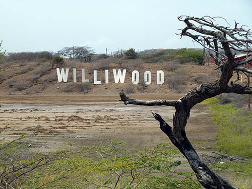 Williwood